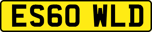 ES60WLD