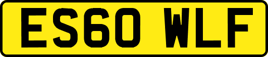 ES60WLF