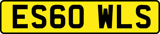 ES60WLS