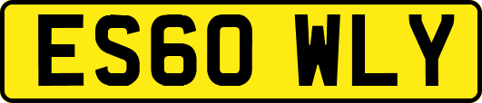 ES60WLY