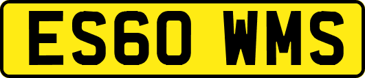 ES60WMS