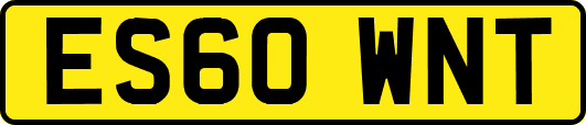 ES60WNT
