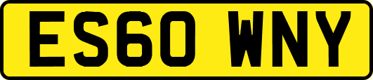 ES60WNY