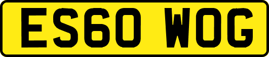 ES60WOG