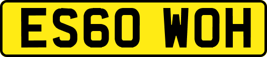 ES60WOH