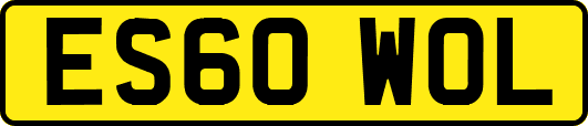 ES60WOL
