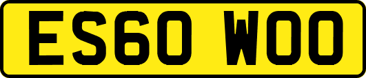 ES60WOO