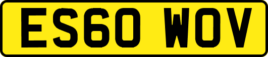 ES60WOV