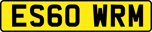 ES60WRM