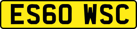 ES60WSC