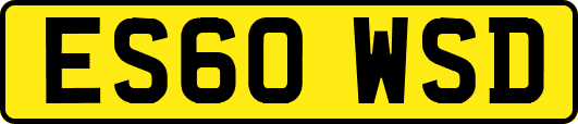 ES60WSD