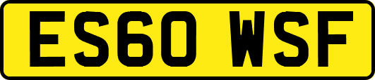ES60WSF