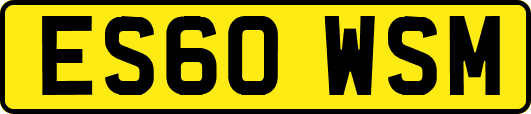 ES60WSM