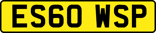 ES60WSP