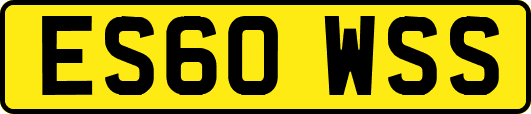 ES60WSS