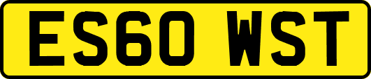 ES60WST