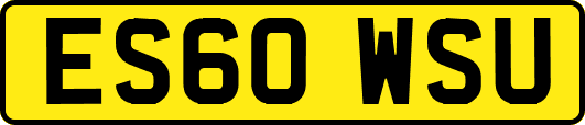 ES60WSU
