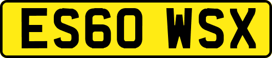 ES60WSX