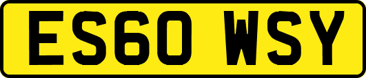 ES60WSY