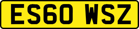 ES60WSZ