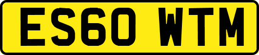 ES60WTM