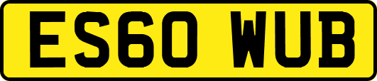 ES60WUB