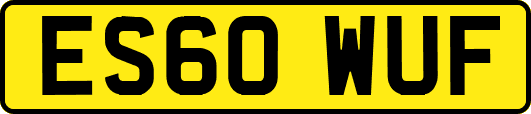 ES60WUF