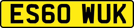 ES60WUK