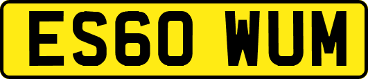 ES60WUM