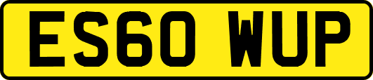 ES60WUP