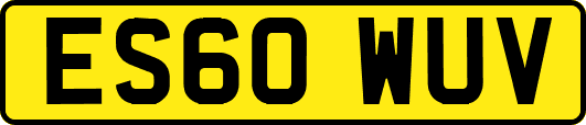 ES60WUV