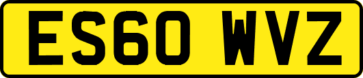 ES60WVZ