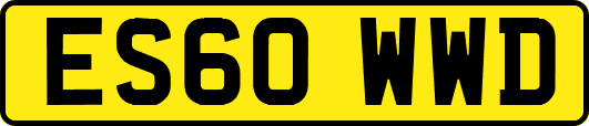 ES60WWD
