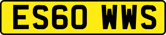 ES60WWS
