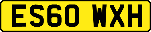 ES60WXH