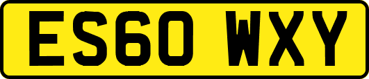 ES60WXY