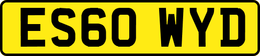 ES60WYD