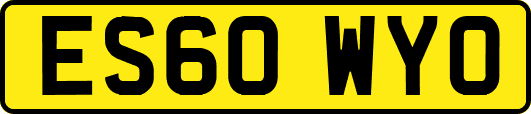ES60WYO