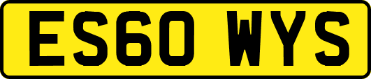 ES60WYS