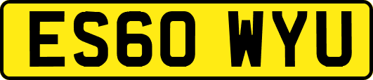 ES60WYU