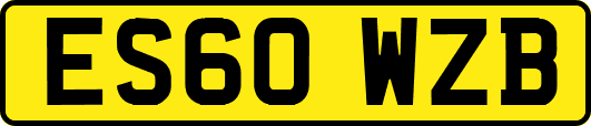 ES60WZB