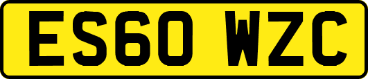 ES60WZC