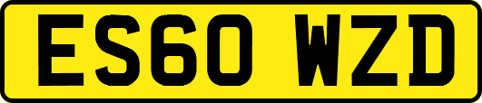 ES60WZD