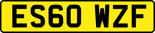 ES60WZF