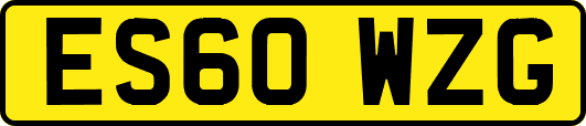ES60WZG