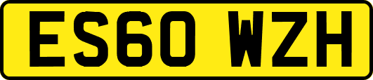 ES60WZH