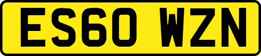 ES60WZN