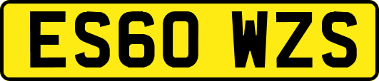 ES60WZS