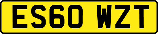 ES60WZT