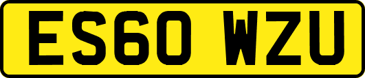 ES60WZU